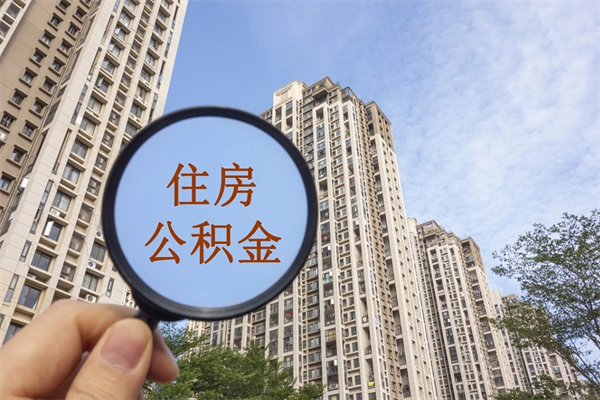 阜宁辞职了补充公积金能取不（辞职后补充公积金如何提取）